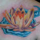ladybug-tattoos-and-meanings-ladybug-tattoo-designs-and-ideas