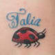 ladybug-tattoos-and-meanings-ladybug-tattoo-designs-and-ideas