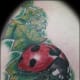 ladybug-tattoos-and-meanings-ladybug-tattoo-designs-and-ideas