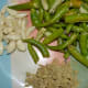 Ginger, Garlic and Green Chilly