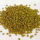 Fenugreek Powder