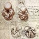 Obstetrics. He had detailed drawings of babies in all stages in utero along with the womb.