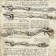 Human Anatomy. He actually dissected corpses, which got him into a bit of trouble. His detailed drawings were so accurate and detailed that they have been used by medical students.