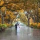 Forsythe Park in Savannah, Georgia Top Cities in America for Fall Traveling