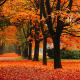 New Orleans, Louisiana in Fall Top Cities in America for Fall Traveling