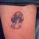 mushroom-tattoos-and-designs-mushroom-tattoo-meanings-and-ideas-mushroom-tattoo-gallery