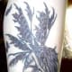 mushroom-tattoos-and-designs-mushroom-tattoo-meanings-and-ideas-mushroom-tattoo-gallery