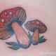 mushroom-tattoos-and-designs-mushroom-tattoo-meanings-and-ideas-mushroom-tattoo-gallery