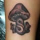 mushroom-tattoos-and-designs-mushroom-tattoo-meanings-and-ideas-mushroom-tattoo-gallery