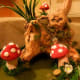 how-to-create-a-secret-fairy-garden