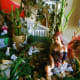 how-to-create-a-secret-fairy-garden