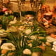 how-to-create-a-secret-fairy-garden