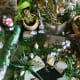 how-to-create-a-secret-fairy-garden