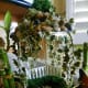 how-to-create-a-secret-fairy-garden