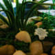 how-to-create-a-secret-fairy-garden