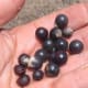 black seeds in the soap nuts. Each nut contains one seed.