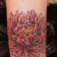 peony-tattoos-and-designs-peony-tattoo-meanings-and-ideas