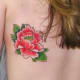 peony-tattoos-and-designs-peony-tattoo-meanings-and-ideas