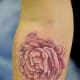 peony-tattoos-and-designs-peony-tattoo-meanings-and-ideas