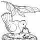 Bird Nest Coloring Pages