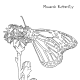 monarch coloring page
