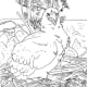 backyard-animals-and-nature-coloring-books