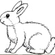 Bunny Rabbit Coloring Page