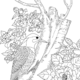Yellowhammer Woodpecker