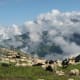 A majestic view at Bharmour