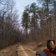 Note the washout. They zig-zag across the 4x4 roads and are sometimes fairly deep.