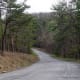 This is an example of paved roads in GRSF.