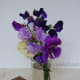 sweet-peas-easy-to-grow-fragranced-flowers