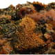 Ekpang Nkukwo