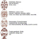 Motif Meanings