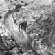 Public domain photo of sluice for separating dirt from gold in water