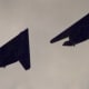 F-117A over the Washington DC Mall during the Desert Strom Victory Parade, 1991.
