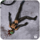 Mumen Rider defeated