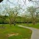 Picnic areas in a pecan grove in Cullen Park