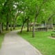 North side of Cullen Park