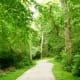 Hike and bike trail on the north side of Cullen Park