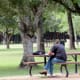 Places to picnic, study, or commune with nature