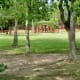 Shade trees as well as open lawn areas