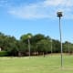 Purple Martin birdhouses