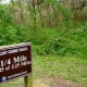 Signs marking off the miles on on this trail through the park.