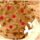 chocolate-cake-and-other-delights