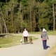 Hiking and Biking Trail in Cypress Park