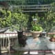 The Porch (featuring Chairman Meow)