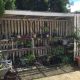 The fern house, Murgon
