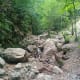 Dense Forest of Khanaspur