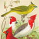 Double-click to see the image full size